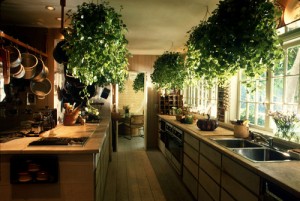 Фэн-Шуй и кухня