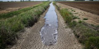 Как проводится осушение участка?