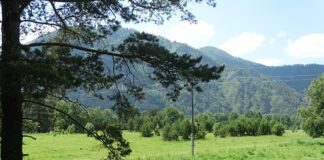 Причины популярности земель на Алтае