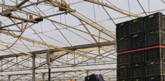 Ставки на фронтальные погрузчики выросли