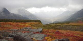 Замминистра строительства и ЖКХ РФ посетил Камчатский край с рабочим визитом