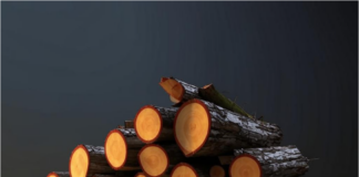 Как выбрать качественные колотые дрова?
