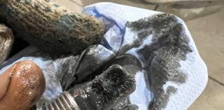 Замена масла в АКПП: залог надежной работы вашего автомобиля